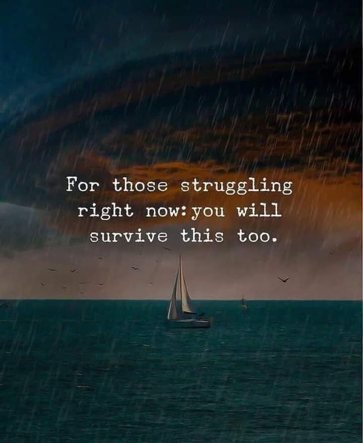 Stanford Comparative Pain&nbsp;Scale