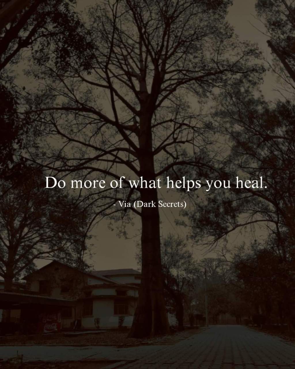 How does the body&nbsp;heal?